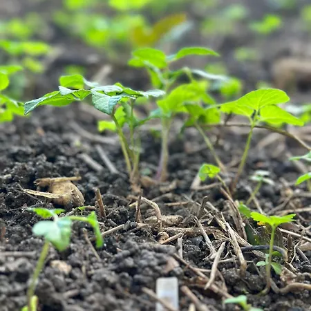 Messe - Fair & Airport By Henkel * Дюссельдорф