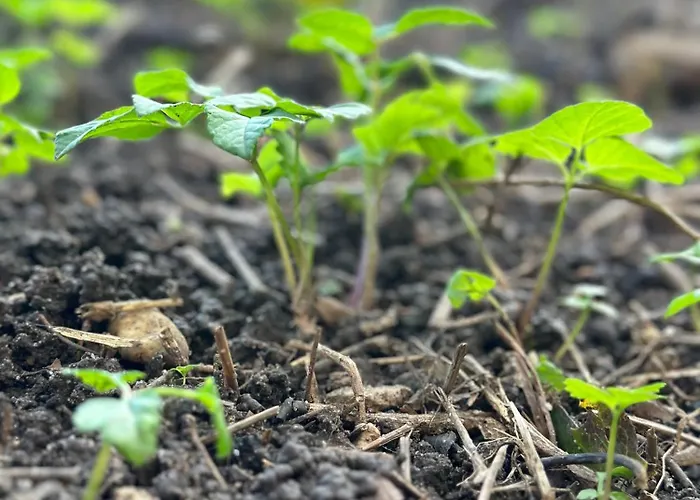 Messe - Fair & Airport By Henkel * 뒤셀도르프